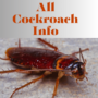 All Cockroach info